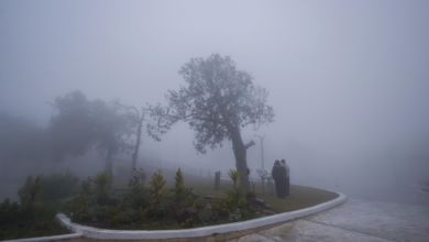 حالة الطقس في السعودية: ضباب كثيف يغطي 9 مناطق وتحذيرات عاجلة