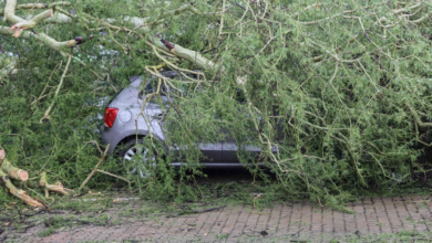 أستراليا: فيضانات وحرائق غابات تضرب فيكتوريا وتحذيرات للسكان