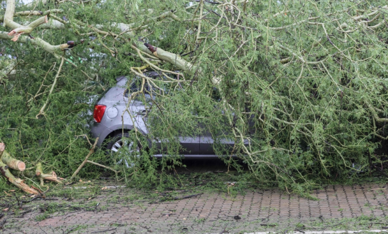 أستراليا: فيضانات وحرائق غابات تضرب فيكتوريا وتحذيرات للسكان