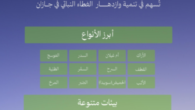 165 نوعاً من نباتات جازان المحلية تدعم السعودية الخضراء
