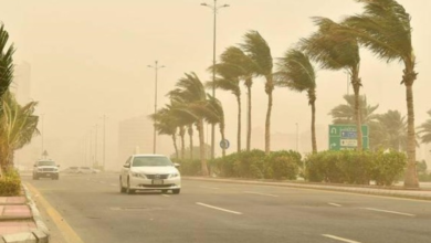 طقس السعودية: انخفاض الحرارة ورياح نشطة حتى الخميس