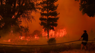 حرائق تشيلي: 15 قتيلاً وإجلاء 50 ألفاً وإعلان الكارثة