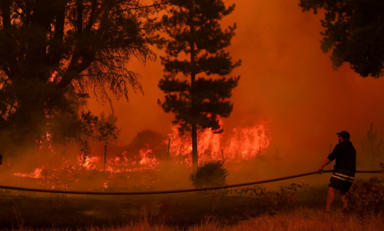 حرائق تشيلي: 15 قتيلاً وإجلاء 50 ألفاً وإعلان الكارثة