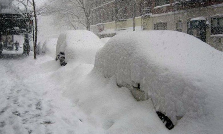 ثلوج فلوريدا تكسو الولاية المشمسة للعام الثاني في ظاهرة نادرة