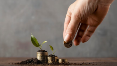 الفرق بين الصناديق العائلية والأهلية ودورها في رؤية 2030