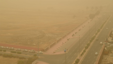 Saudi Arabia weather today: 3 degrees Celsius in Tabuk and Hail, and a dust storm