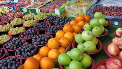 بيئة مكة تسلم 11 طن خضار لجمعية خيرية بجدة لتعزيز الأمن الغذائي