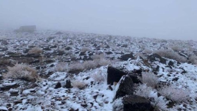 طقس السعودية: موجة باردة وصقيع في القريات وطبرجل