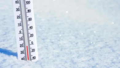 الأرصاد السعودية: موجة باردة وصقيع في تبوك والشمالية والجوف