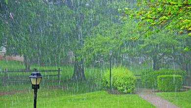 الأرصاد: أمطار غزيرة على 8 مناطق سعودية بدءاً من الجمعة