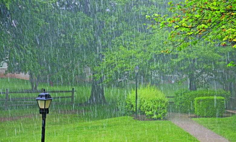 Meteorology: Heavy rain expected in 8 Saudi regions starting Friday