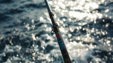 ضبط مخالف للأنظمة البحرية بجدة: حماية للبيئة وتطبيق للقانون