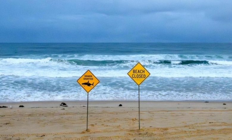 إغلاق شواطئ سيدني بعد هجمات أسماك القرش: تفاصيل الإجراءات