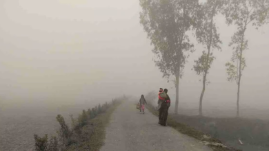 طقس السعودية: موجة باردة وصقيع تحت الصفر في 4 مناطق