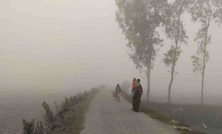 طقس السعودية: موجة باردة وصقيع تحت الصفر في 4 مناطق