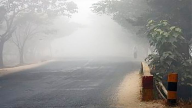 حالة الطقس في السعودية: صقيع شمالاً وغبار بالرياض والشرقية