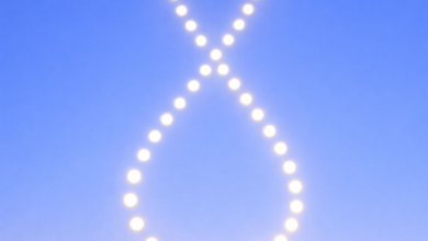 فلكية جدة توضح ظاهرة الأناليما ومسار الشمس السنوي