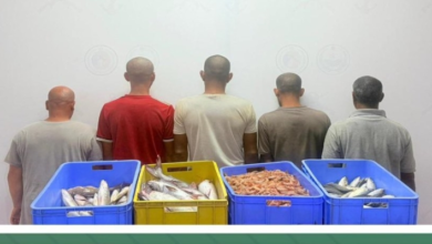 حرس الحدود بجازان يضبط 5 مخالفين للصيد دون تصريح