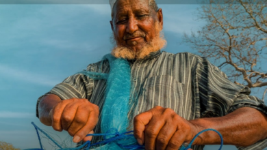 ريف السعودية يحدث أسطول الصيد بـ1450 محركاً وجهاز تتبع