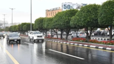 طقس الحدود الشمالية: أمطار غزيرة وسيول متوقعة نهاية الأسبوع