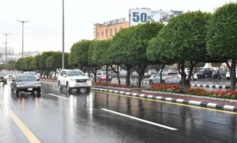 طقس الحدود الشمالية: أمطار غزيرة وسيول متوقعة نهاية الأسبوع