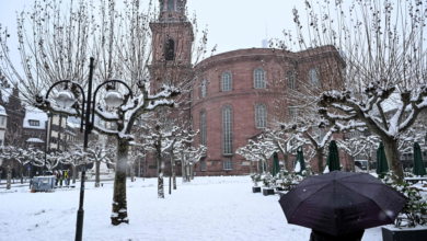 الثلوج تشل ألمانيا: تعطل القطارات وحوادث بسبب الجليد