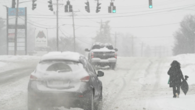 عاصفة قطبية تضرب أمريكا: 21 قتيلاً وانقطاع الكهرباء