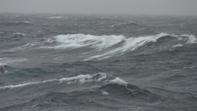 حالة الطقس اليوم: رياح مثيرة للأتربة وأمطار على مناطق المملكة