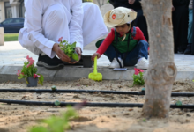 بلدية الظهران تزرع 155 ألف زهرة لتعزيز جودة الحياة