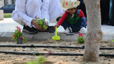 بلدية الظهران تزرع 155 ألف زهرة لتعزيز جودة الحياة