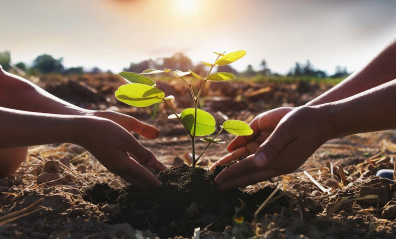 انطلاق المجلس الوزاري لمبادرة الشرق الأوسط الأخضر في جدة