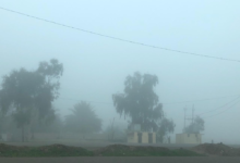 طقس السعودية: ضباب كثيف على 8 مناطق وتنبيهات هامة