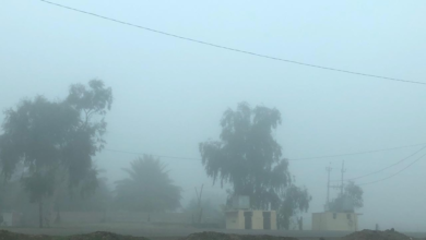 طقس السعودية: ضباب كثيف على 8 مناطق وتنبيهات هامة