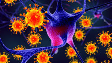 الهند تحتوي فيروس نيباه: تفاصيل التفشي وإجراءات الطوارئ الآسيوية