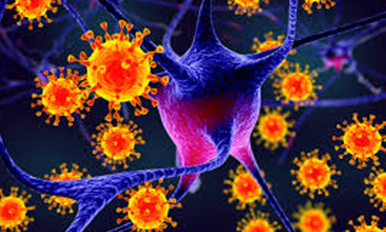 الهند تحتوي فيروس نيباه: تفاصيل التفشي وإجراءات الطوارئ الآسيوية