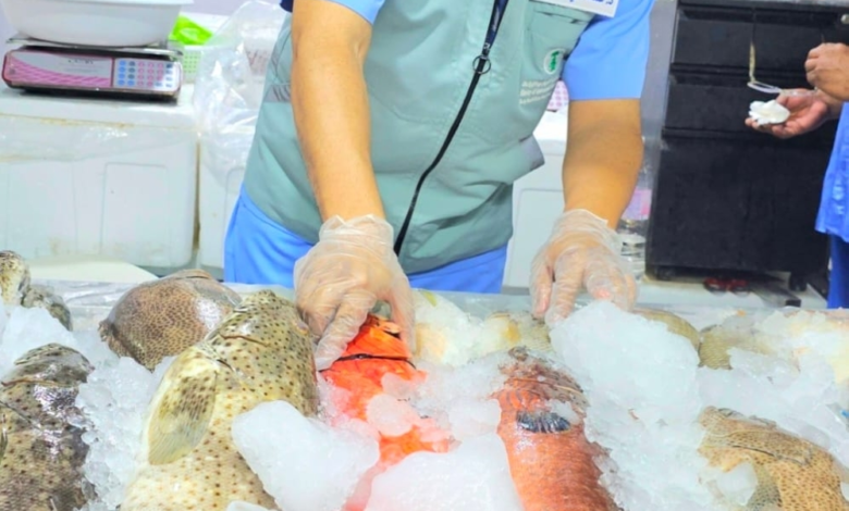 ضبط 1110 كجم أسماك فاسدة بجدة وتسجيل 738 مخالفة