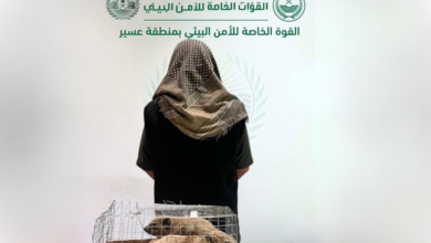 ضبط مخالفات بيئية في عسير وطويق: غرامات وعقوبات صارمة