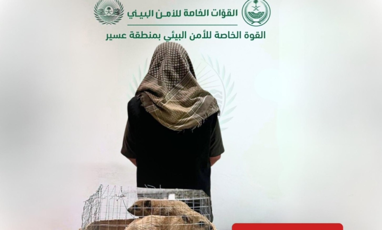 ضبط مخالفات بيئية في عسير وطويق: غرامات وعقوبات صارمة