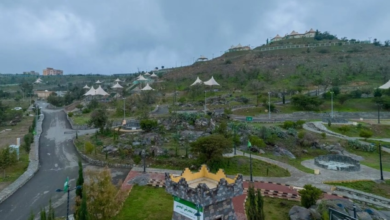 طرح 100 فرصة استثمارية بيئية في السعودية عبر منصة فرص