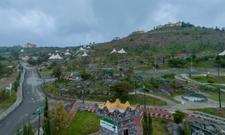 100 environmental investment opportunities presented in Saudi Arabia through the Fursah platform