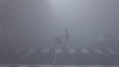 طقس السعودية: ضباب وتدني الرؤية في 5 مناطق اليوم الجمعة
