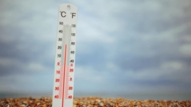 Weather in Saudi Arabia: Temperature 5 degrees Celsius, thunderstorms and fog