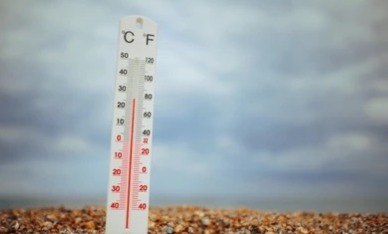 Weather in Saudi Arabia: Temperature 5 degrees Celsius, thunderstorms and fog