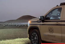 ضبط مخالفات رعي في محمية الملك عبدالعزيز وتغريم المخالفين