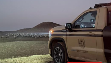 ضبط مخالفات رعي في محمية الملك عبدالعزيز وتغريم المخالفين