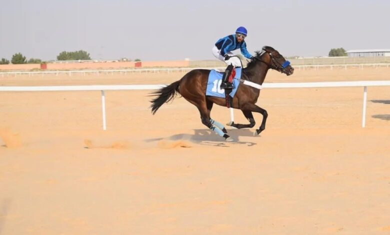 اشتراطات تنظيم بطولات الخيل العربية في السعودية 2024