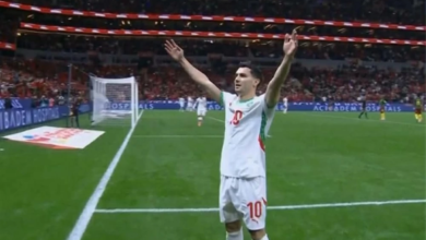 المغرب يهزم الكاميرون ويبلغ نصف نهائي أمم أفريقيا 2025