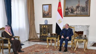 السعودية ومصر: دعوة لخفض التصعيد وحماية أمن المنطقة