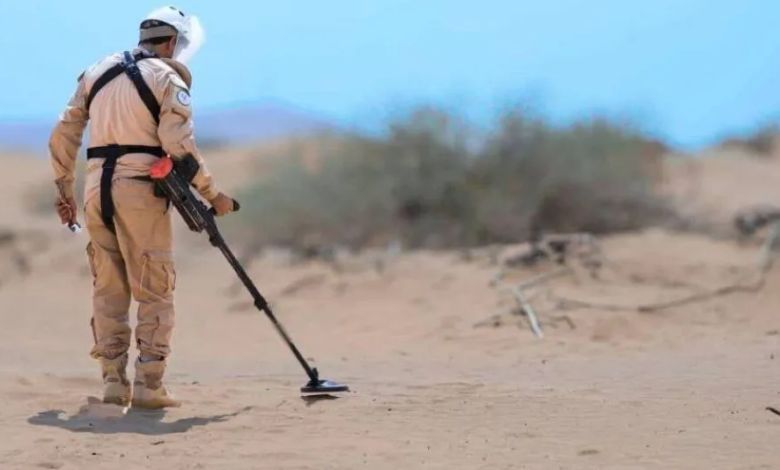 Project Masam removes 2,108 landmines in Yemen in one week