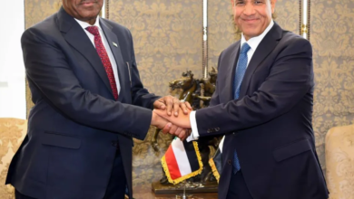 مصر تدعو لتنسيق الجهود الدولية لحل الأزمة السودانية